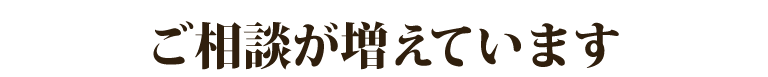 永代供養墓のご相談が増えています